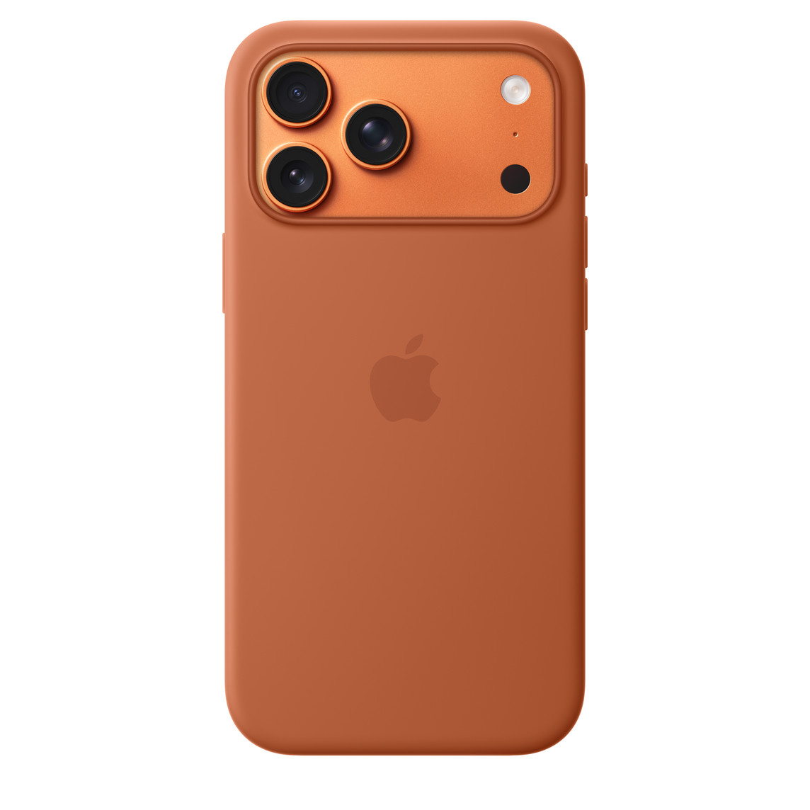 Чехол iPhone 17 Pro Max / 18 Pro Max Silicone Case with MagSafe - Terra Cotta (MGFQ4)