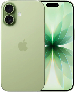 Apple iPhone 17 256GB, Sage (зеленый) — Зелёный