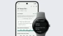 Google Pixel Watch 3 45mm Matte Hazel / Hazel Active Band (ореховые) Google Pixel Watch 3 45mm Matte Hazel / Hazel Active Band (ореховые)